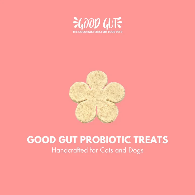 Good Gut Probiotic Treats 100g