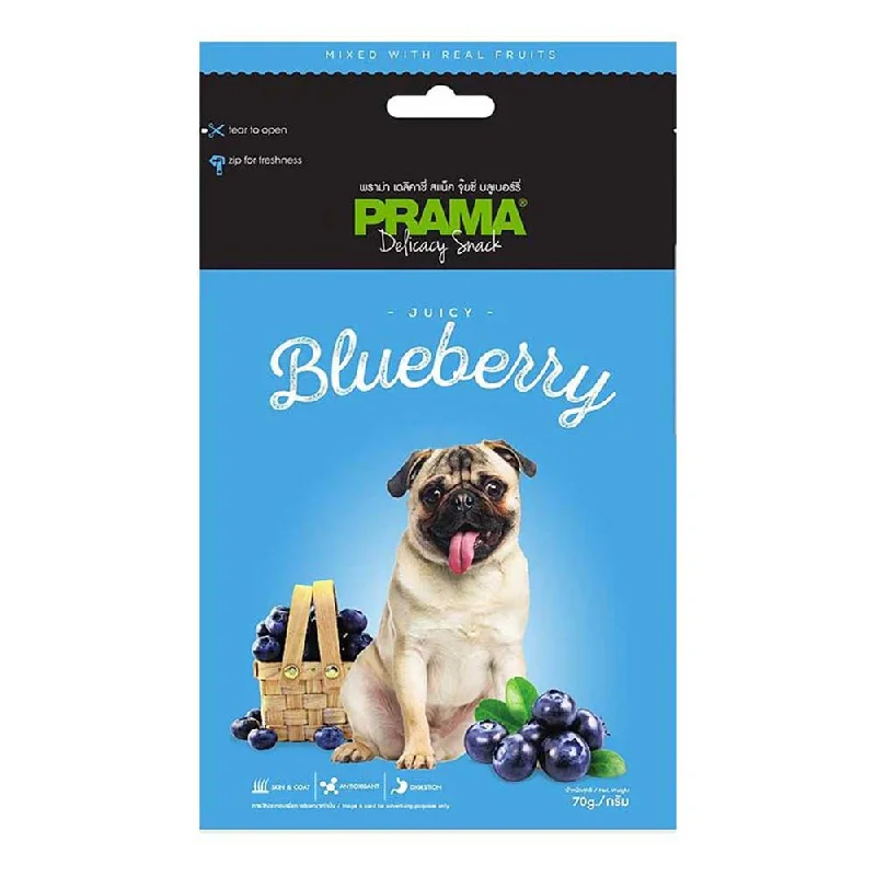 Prama Delicacy Snack Juicy Blueberry 70g